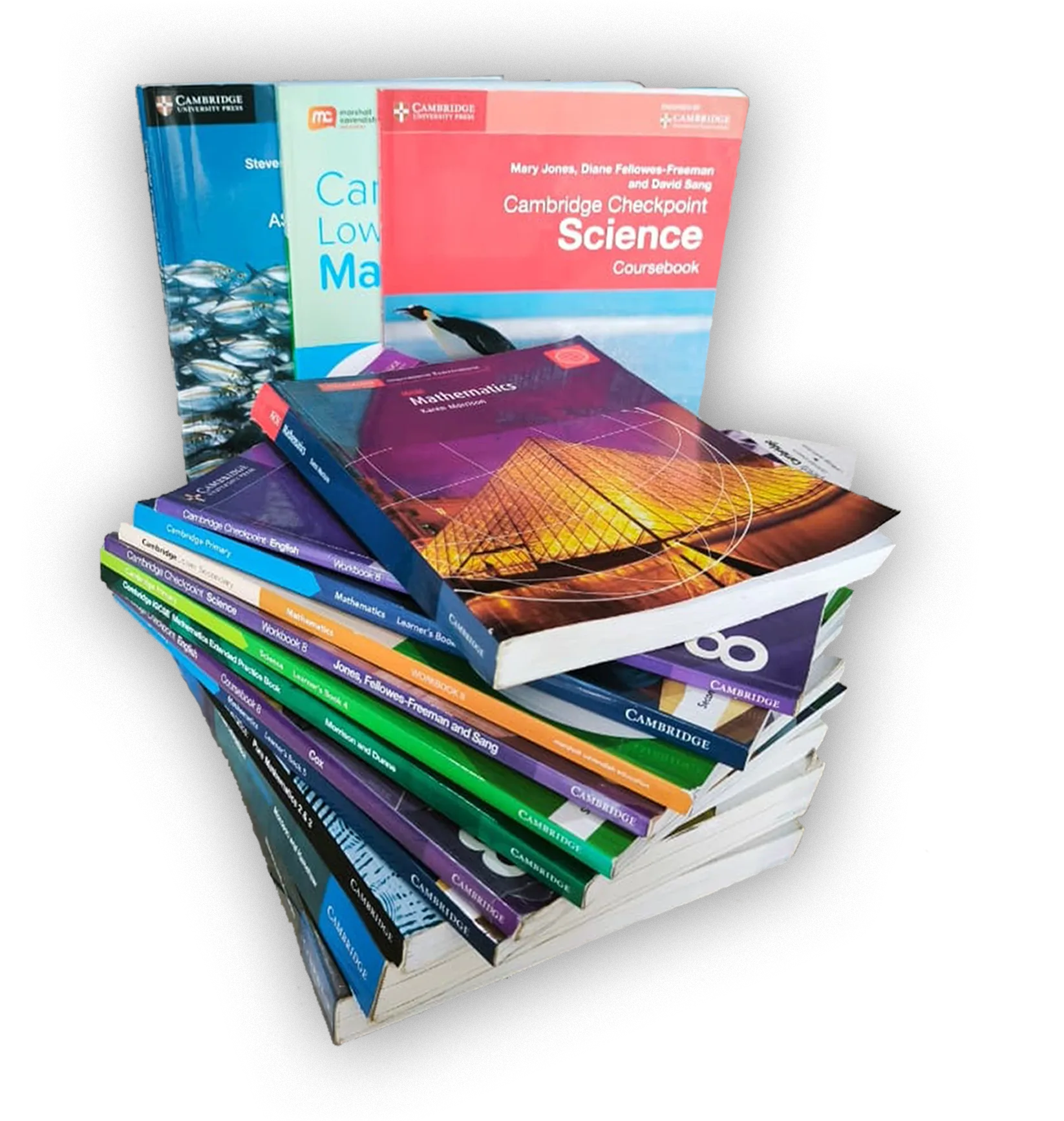 Cambridge Curriculum